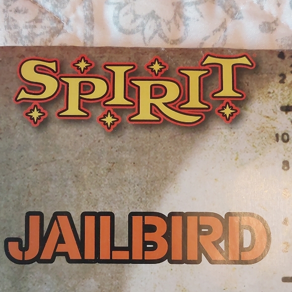 Spirit Black and White Adult Jailbird Costume - Picture 2 of 10